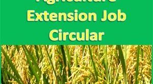 Department of Agriculture Extension Job Circular