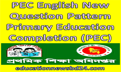 PEC English New Question Pattern