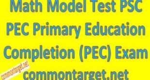 Math Model Test PSC PEC