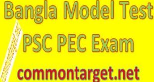 PSC Bangla Model Test 2020