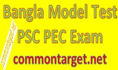 PSC Bangla Model Test 2020