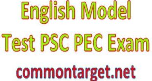 Primary Education Completion PEC English Model Test