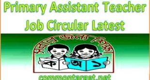 Primary Assistant Teacher Job Circular