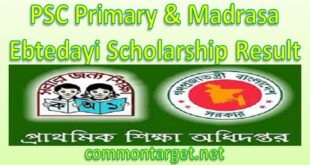 Primary Scholarship Result 2020