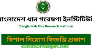 BRRI Job Circular 2024