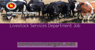 Livestock Services Department Job 2024