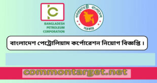 Petroleum Corporation BPC Job 2024